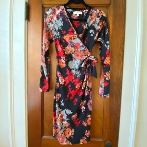 Ripe Maternity Dress